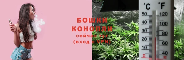 гидра Долгопрудный