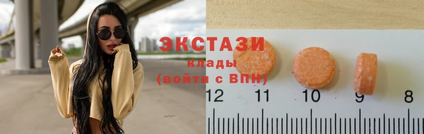 гидра Долгопрудный