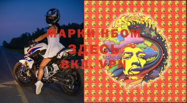 гидра Долгопрудный