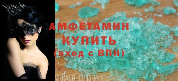 гидра Долгопрудный