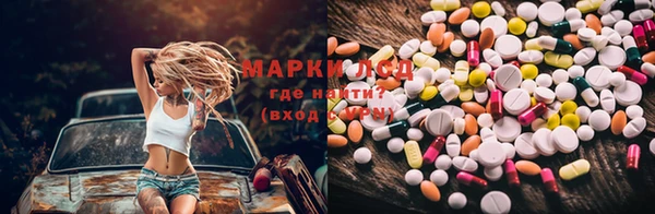 гидра Долгопрудный