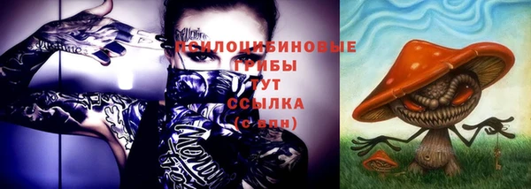 гидра Долгопрудный