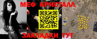 шишки Донской