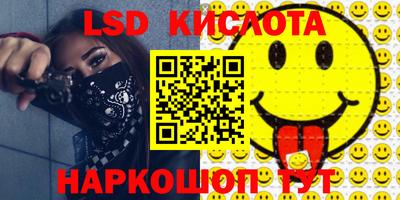 шишки Донской