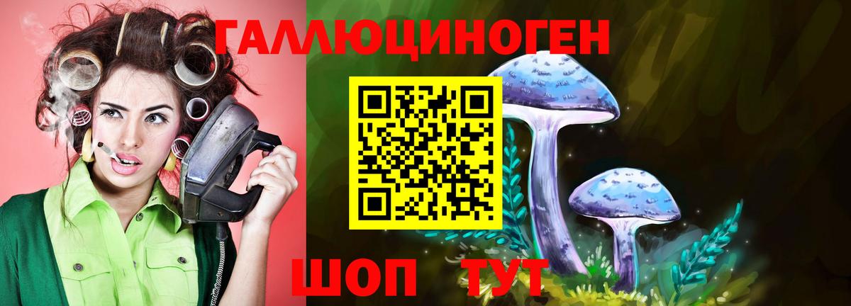 Галлюциногенные грибы Psilocybine cubensis  Вход с VPN  Донецк 